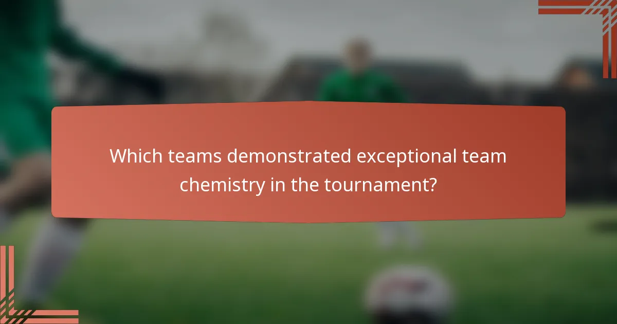 Which teams demonstrated exceptional team chemistry in the tournament?